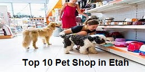 Top 10 Pet Shop in Etah